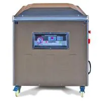 Вакуум-упаковочная машина DZ-800/2L