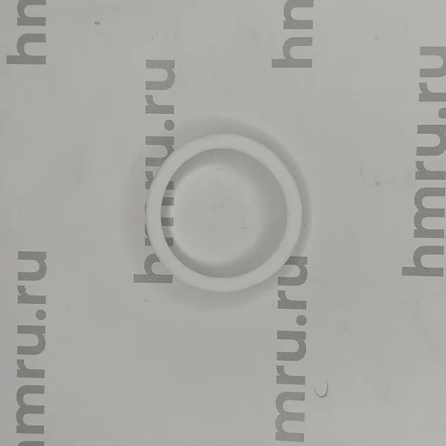 Уплотнительное кольцо PTFE на дозирующий поршень для LPF/PPF-1000