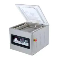 Вакуум-упаковочная машина DZQ-500T (с газом)